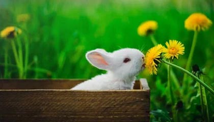 开云官网:开启线上购物的全新体验